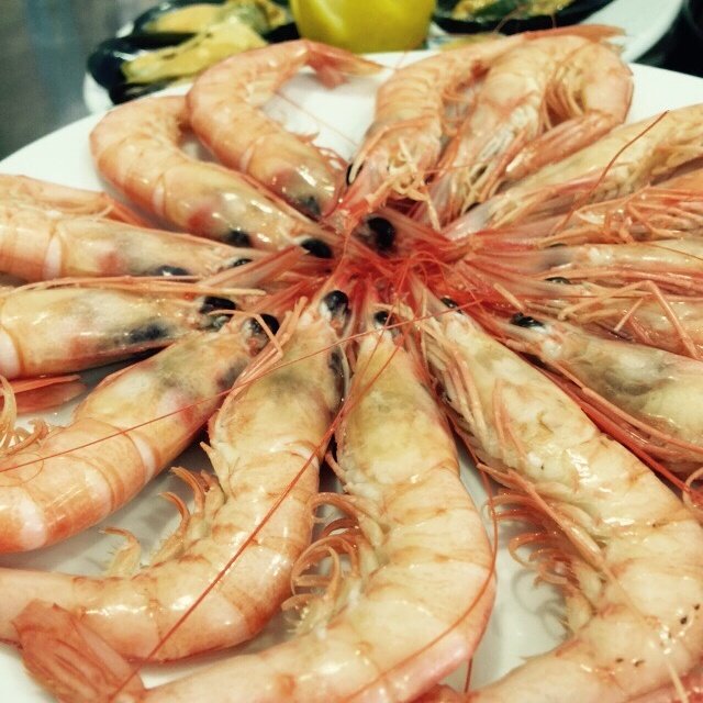 ElTrasmalloFre's tweet photo. #FelizMiercoles a todos desde @ElTrasmalloFre 

#Sevillahoy #gambablanca @TapasxSevilla @tapasporsevilla https://t.co/EFItFUMXTp