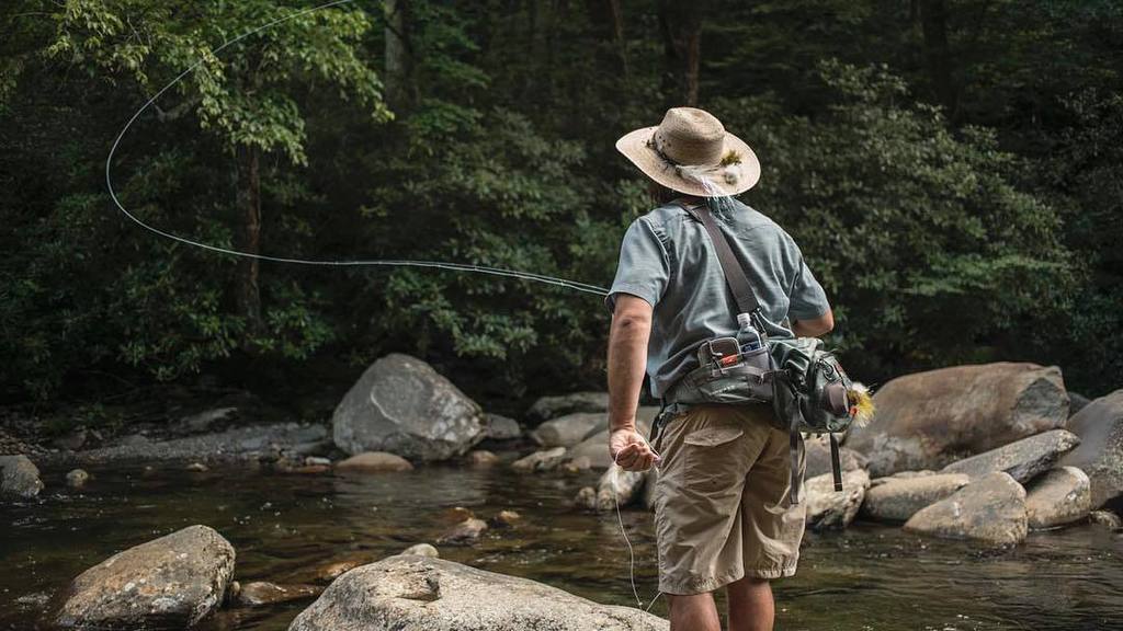 Tight loops, tight lines and tight quarters - name of the game chasing brook trout in the Smokies #trout #flyfishin…