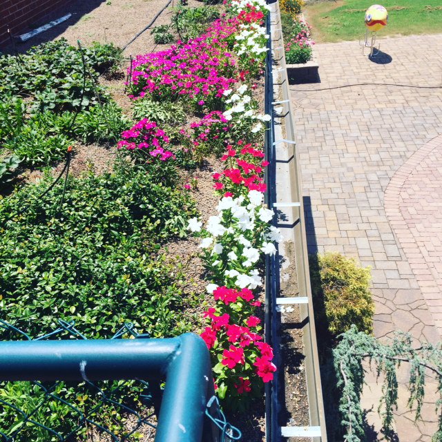 WaterWorksEDU's tweet image. Barely noticed the rain with our #greenroof, it insulates &amp;amp; prevents excess runoff! #WaterWeUpTo  #WednesdayWisdom