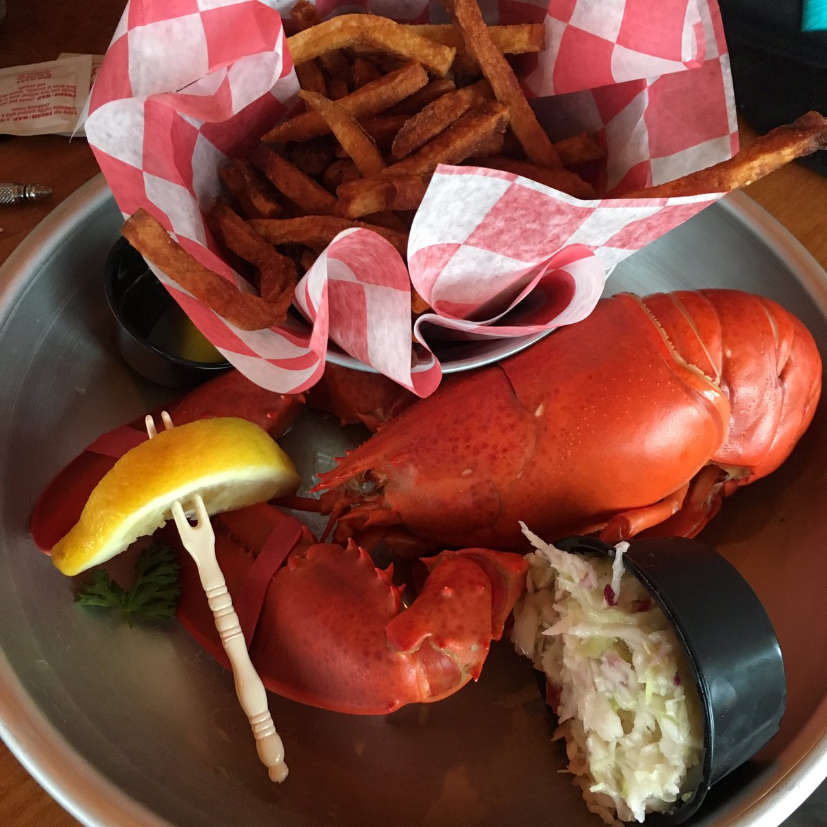 Nothing like some Maine lobster for lunch! #UNE #lobster #Maine #summer