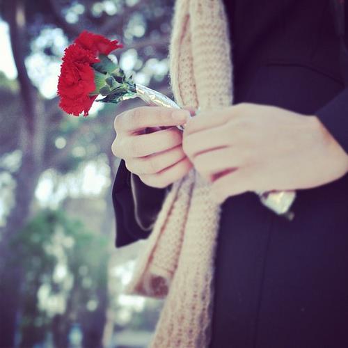 minaouni's tweet photo. أؤمن بشدة..أنه سيأتي ذلگ اليوم المنشود..أين تتلآشى جميع المحن...أثق بذلگ جيدا..لأن ربي لآ ينسى أحدآ https://t.co/FKj6kTWxOt