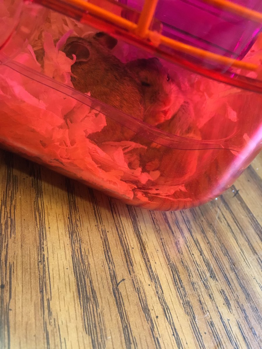 UpdatingMerrell's tweet image. #thiscouldbeusbutyouplayn