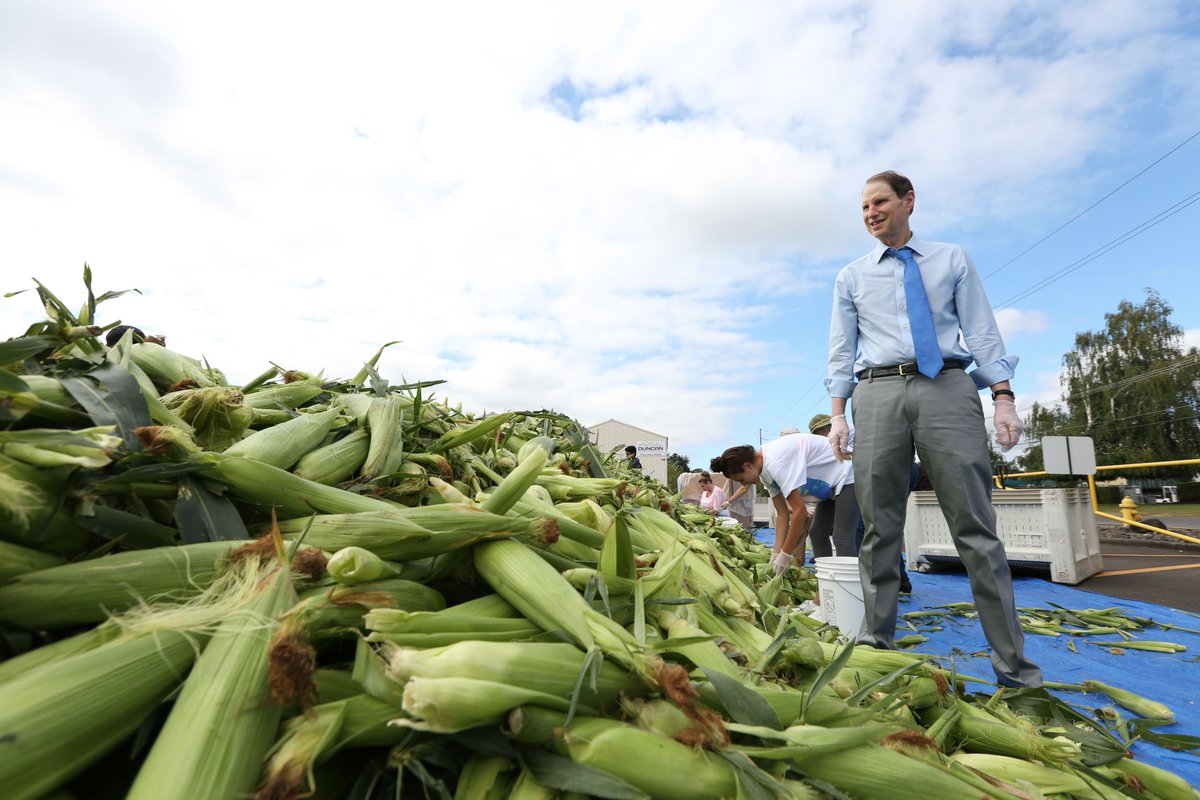 DPetersonSJ's tweet photo. U.S. Sen. @RonWyden helps sort corn while visiting Marion-Polk Food Share @endlocalhunger in #SalemOR #sjnow https://t.co/mI65m4zhOe