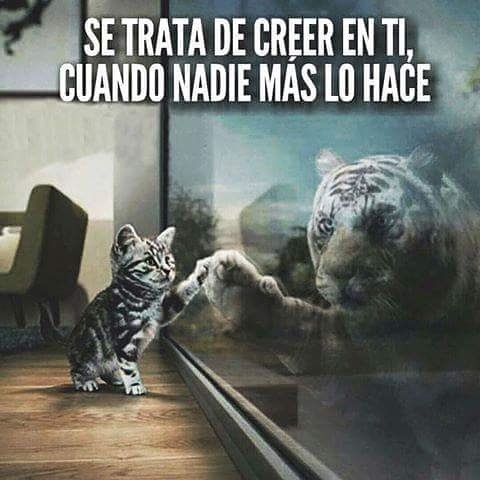 juliocortez2906's tweet photo. https://t.co/csceoXet4r