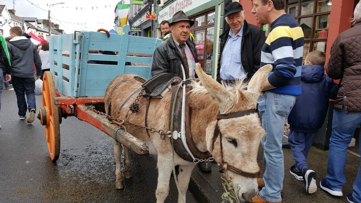 GreenwaySligo's tweet image. We got such a great reaction at the @tubbercurry_ie old fair day today with our #Greenway Info Stand!