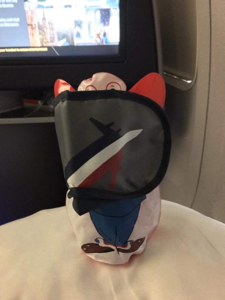 B0BSCHWARTZ's tweet photo. G'day Mate! Shoutout to @united for the upgrade to Australia! ✈️🐨 #Kangabob #BobSchwartz https://t.co/Ok0DphomFg