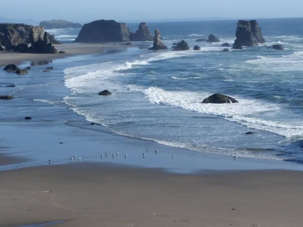 BandonEscape's tweet photo. Good Morning from the most beautiful beach on the west coast, atleast we think so!
#bandon #bandonbythesea https://t.co/fRHj2vqRtE