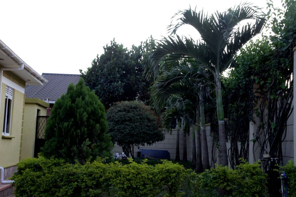 Lapishac's tweet photo. Fully Furnished house with three bedrooms and three room of boys Quarters, $59600 Call #LapishaProperties 0779160991 https://t.co/dfpYBdgudb