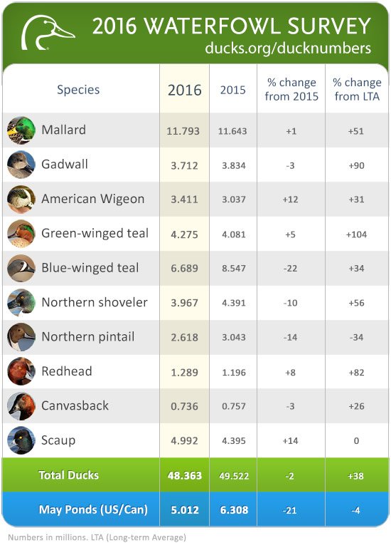 DucksUnlimited's tweet photo. Duck Numbers: 2016 Waterfowl Populations Status released by @USFWSBirds today. https://t.co/X4qiWRpJb4 https://t.co/x4CTtNvixY