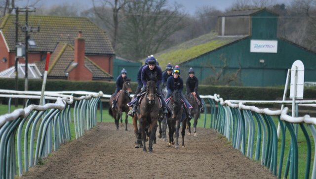 careersinracing's tweet photo. Various Roles available @edwalkerracing, Lambourn.
#RelocationRelocation
Please visit: https://t.co/IJUWnj7H8X https://t.co/jbr7fgD1RT