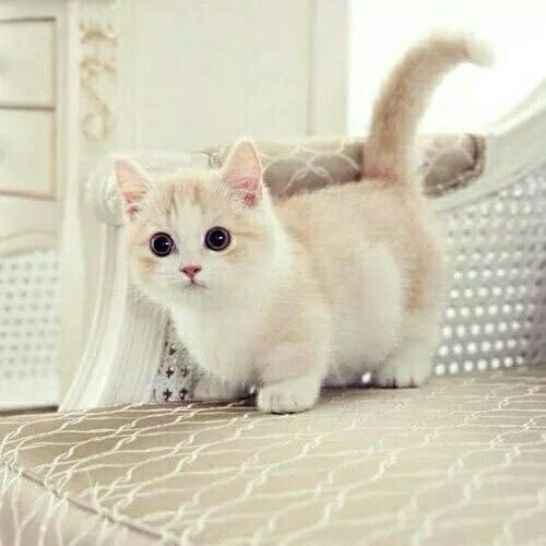 Baby Sacha tweet media