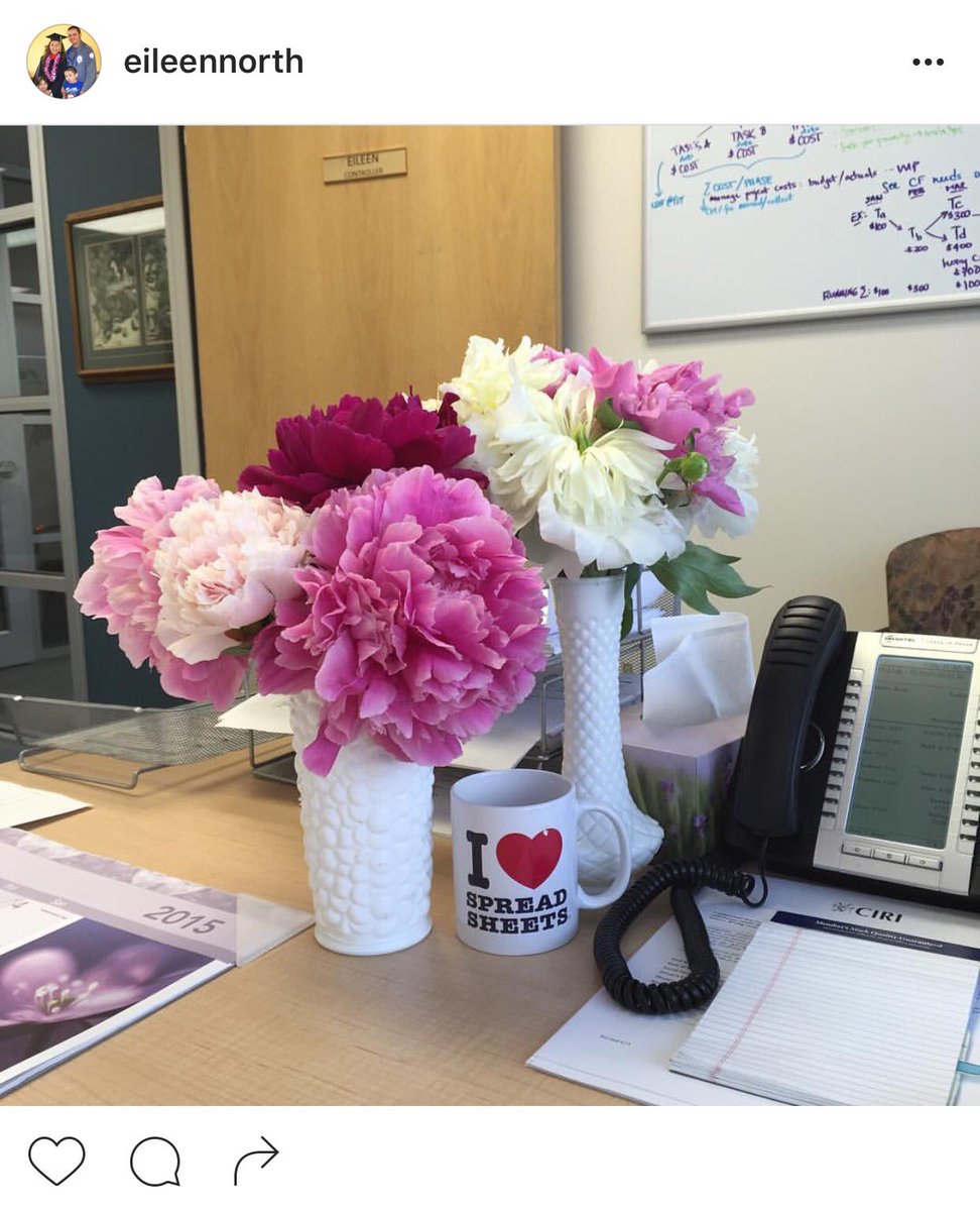 EileenNorthcutt's tweet photo. I wish peony season was year round 😪 #peonies #workingwithflowers #peonylover #workflow https://t.co/cVkxRhNzU5