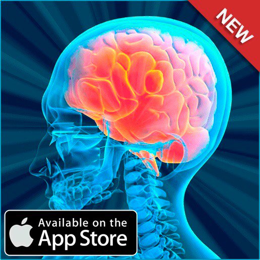 HarrellMartino's tweet photo. My brain operates at 0.08% and was 7532 year 6 months 8 days this is not real no one can be this old https://t.co/SA4W2gPLxg