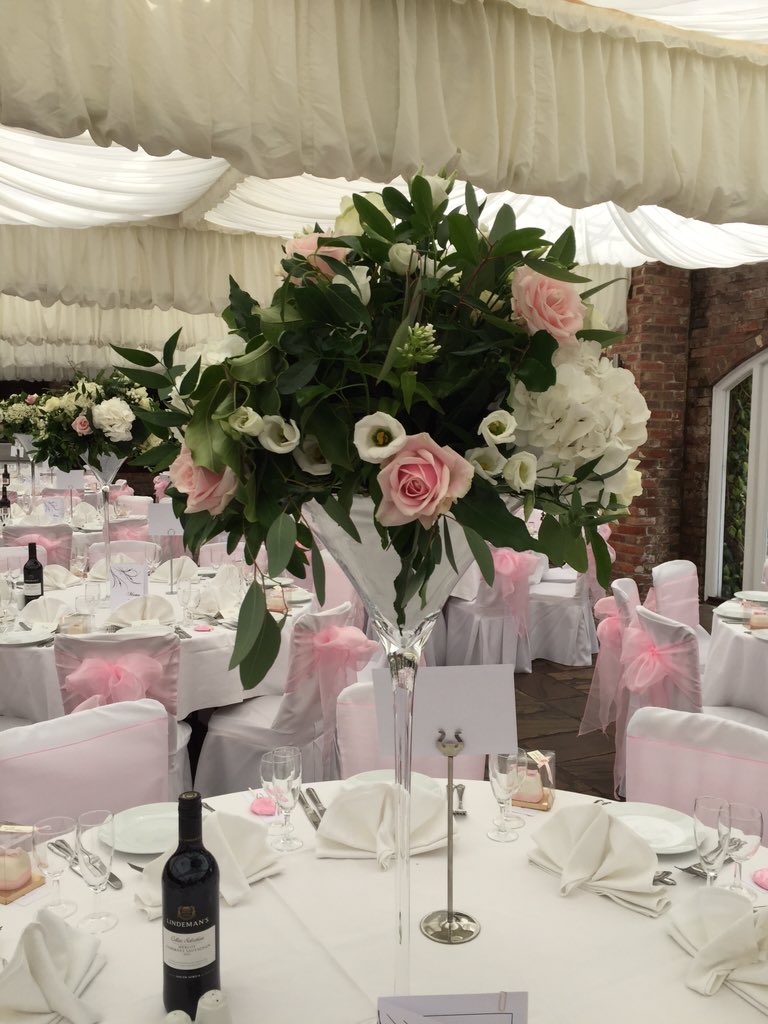 Sitting Pretty tweet media