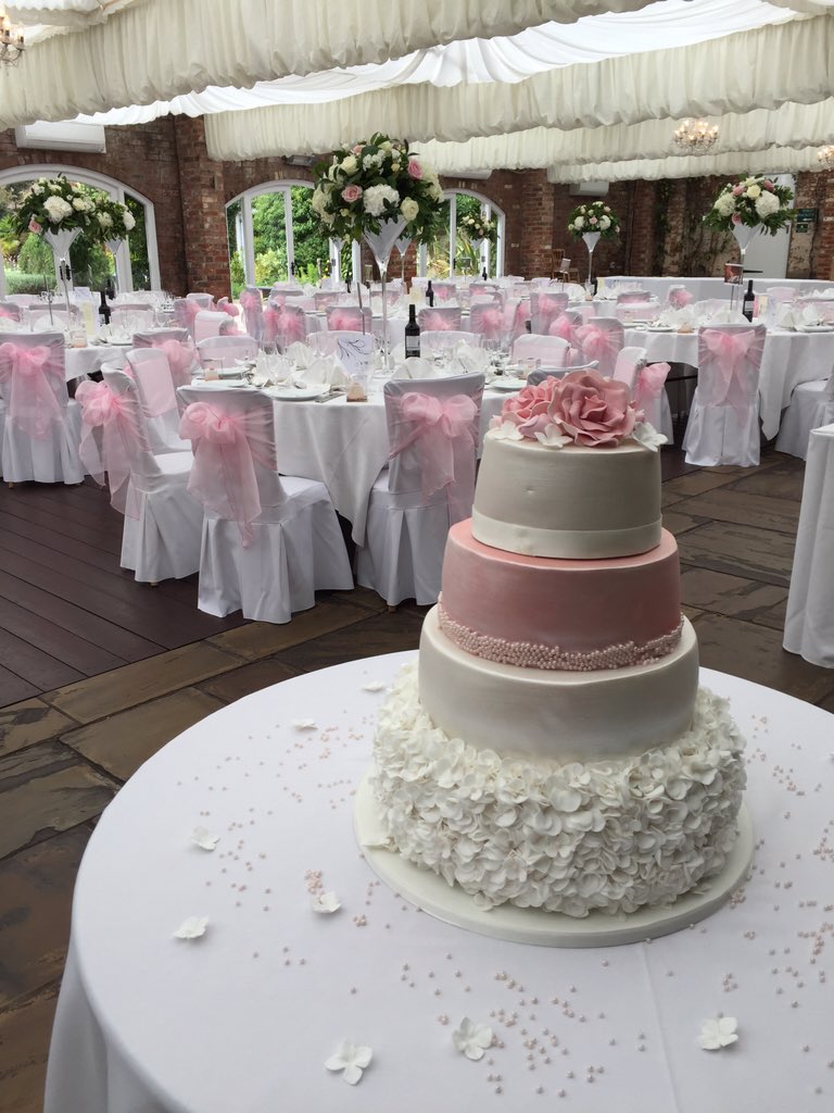 Sitting Pretty tweet media