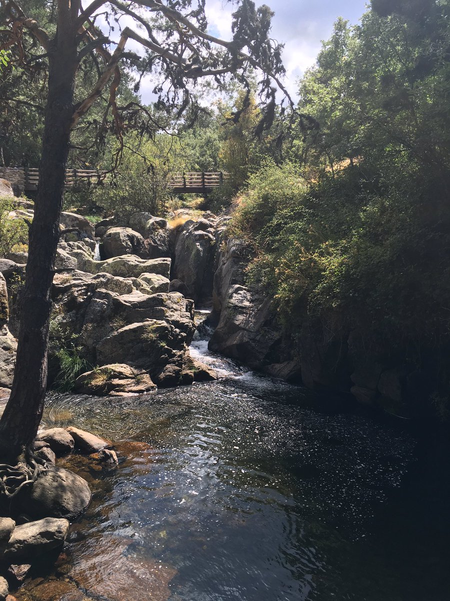 aranxa_pg's tweet photo. No mires atras, lo que viene por delante siempre es mejor :) #diasdeexcursion #vacaciones #conociendomundo 😎😎 https://t.co/lylnyoVaut
