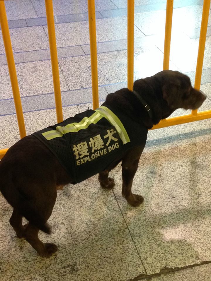 BBW_BFF's tweet photo. when you're a good boy who's also a little bit of a bad boy https://t.co/8TKn7lZM0x