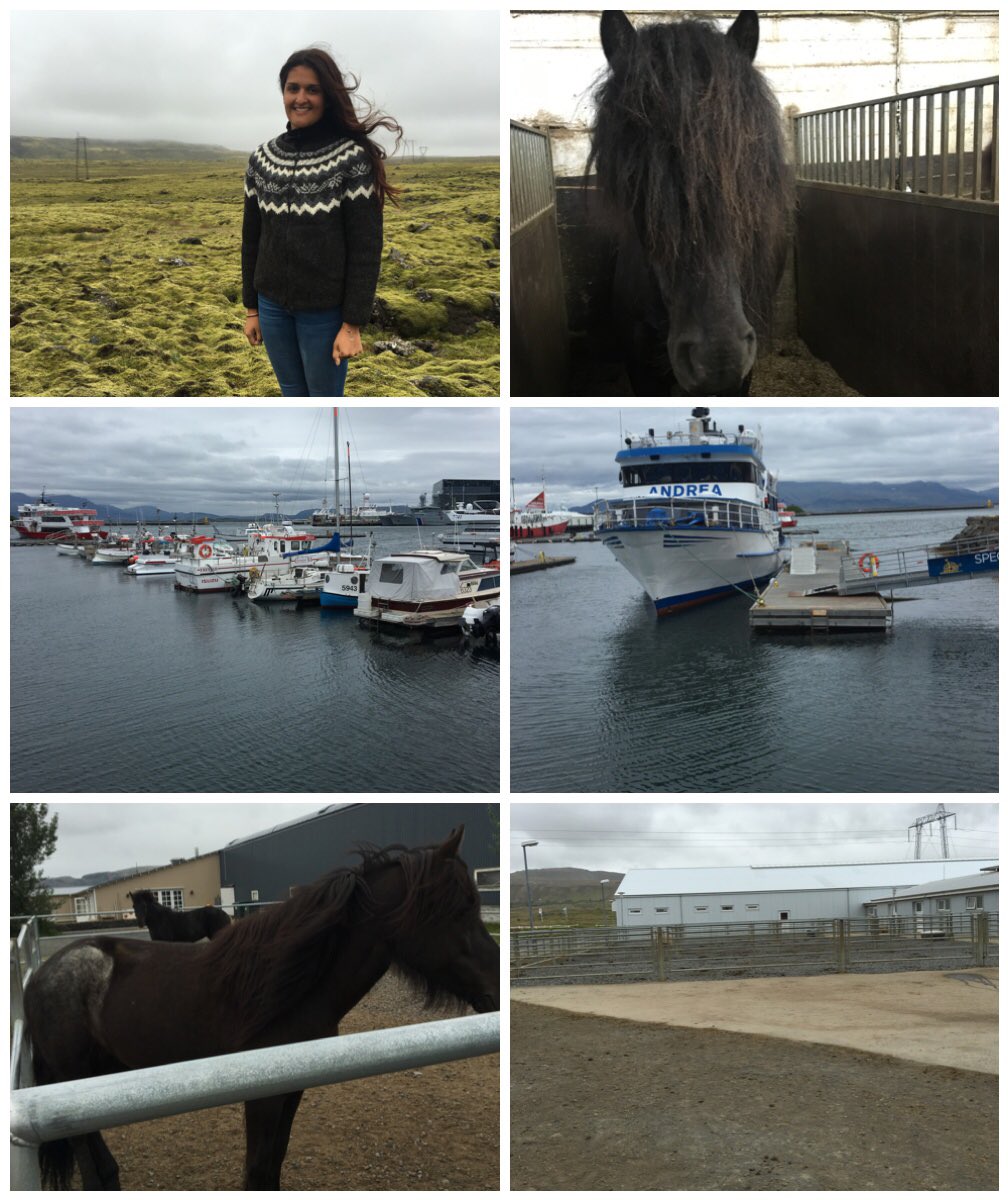 saraaandersson1's tweet photo. Jag har det bra på Island 🇮🇸 https://t.co/OVJF9Et17s