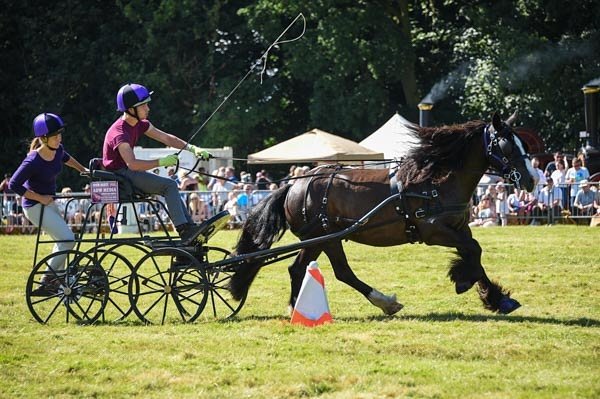 JoshNeateCD's tweet image. Photo of us at Canwell show taken by Equinepix Photography #carriagedriving #equine #photography #BSTD