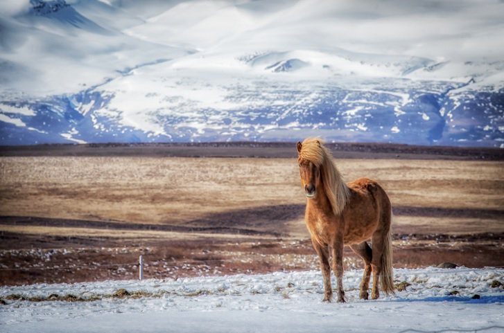 BlackBarGallery's tweet photo. #LuizCarlosJunior is our #featuredartist today. See more #nature #landscape #photography@ https://t.co/082fhO6qQm https://t.co/KsC1aGsVOC