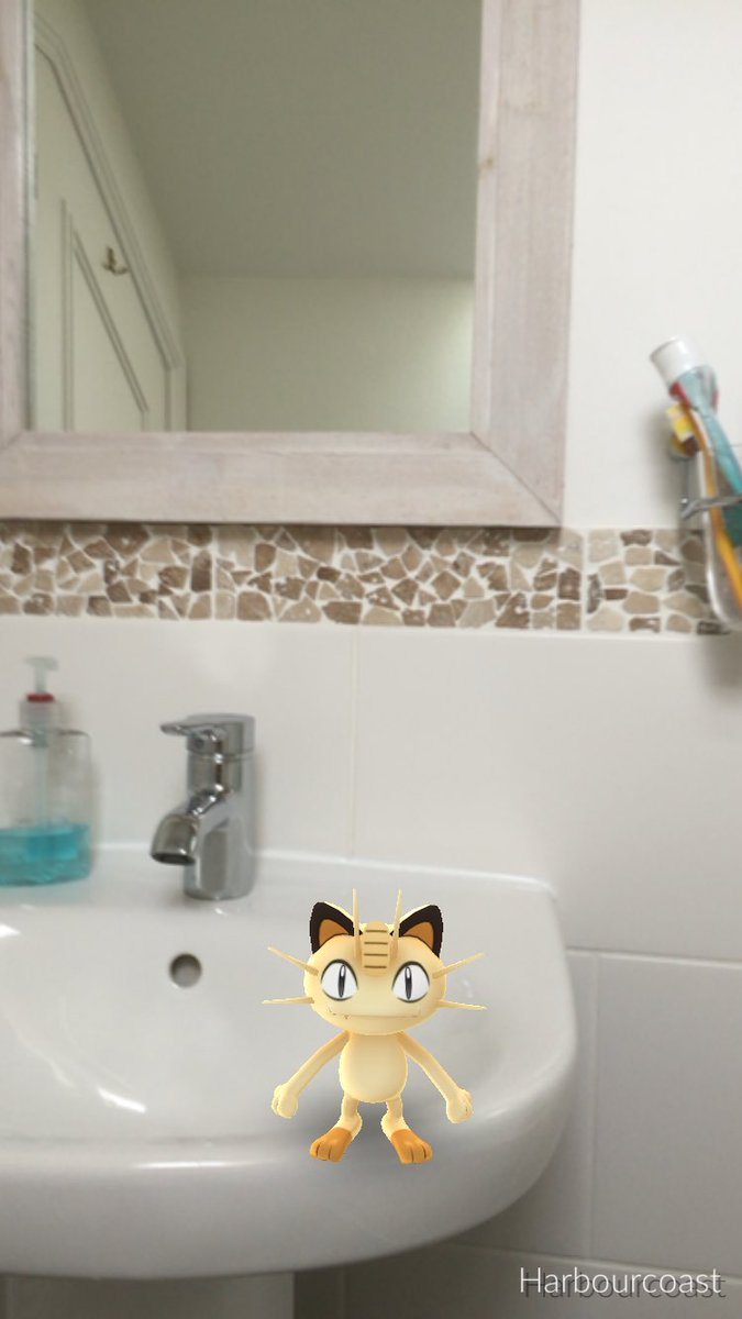 BeckyAnneMartin's tweet image. My daughter would like to know what's going on in the bathroom 😳 @PokemonGoChelt @PokemonGoHD @PokemonLiveNews ☺️