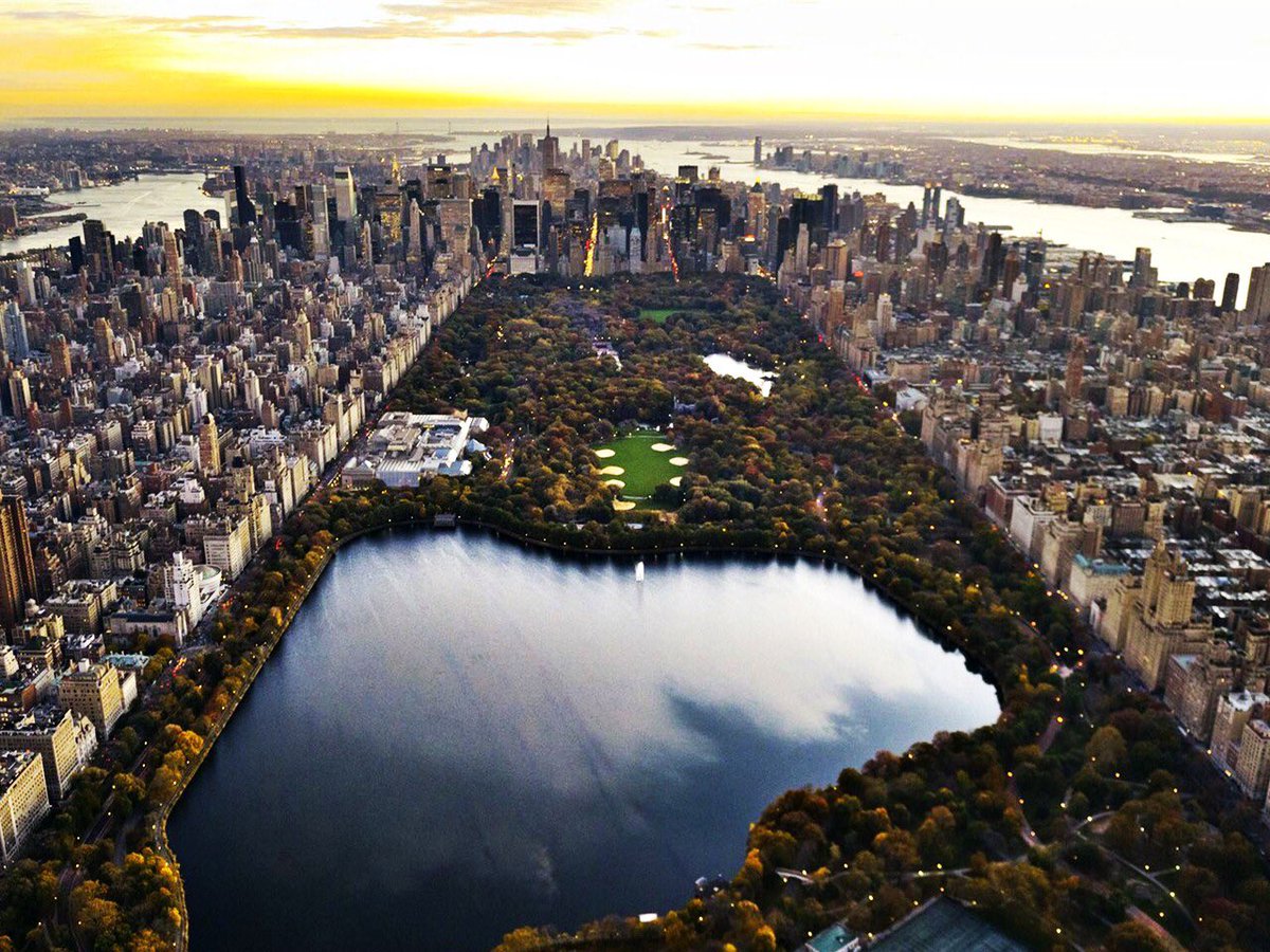naturenchill's tweet photo. NYC Baby 😍 https://t.co/bAXd61DwTs