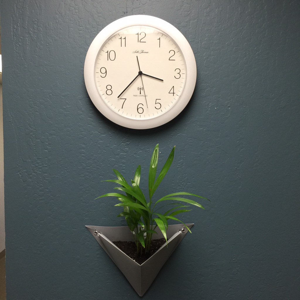 verdeveil's tweet photo. Green up the old office with #origamiwallplanters #interiordesign https://t.co/urgCF4VRMA