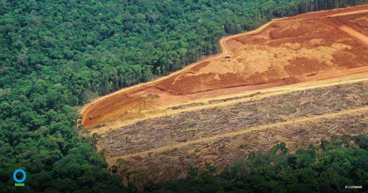 ConservationOrg's tweet photo. #DYK? 1% of protected areas in #Amazonia have been deforested despite official protection https://t.co/Lgrmi5exKV https://t.co/8pISHbAnDy