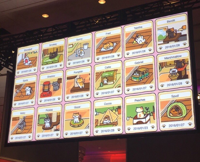 Krystal_Parsons's tweet photo. Here's how to learn about databases #Catabase #meow #BringingAllTheCatsTotheYard #TLCC2016 https://t.co/RhGaRgSks2
