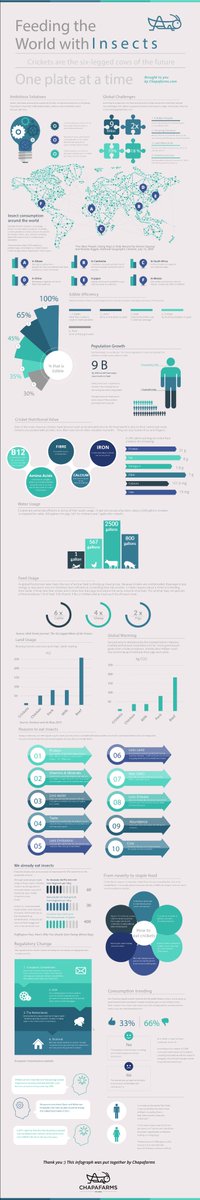 Check out our infographic,"Feeding the world with insects" #cricketprotein #bug #bugprotein #insects #futureoffood