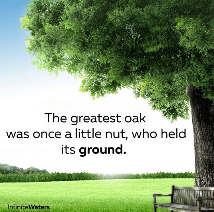 Welcome to Oak Learners 🌳<a href="/InfiniteWaters/">Ralph Smart</a> 

#OakLearners #music &amp; #mindfulness