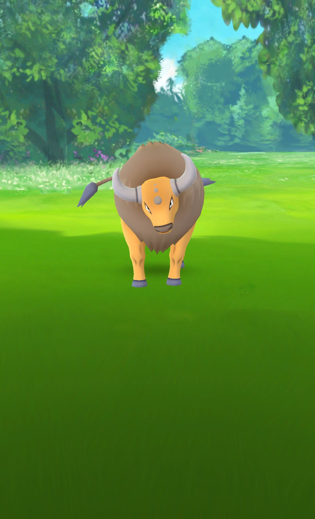 たむたむ パチ垢 ポケモンgo アメリカ限定 ケンタウロス ポケモン図鑑 座標 37 122 T Co Eoaiqhbhla T Co Sp0qpnqthp Twitter