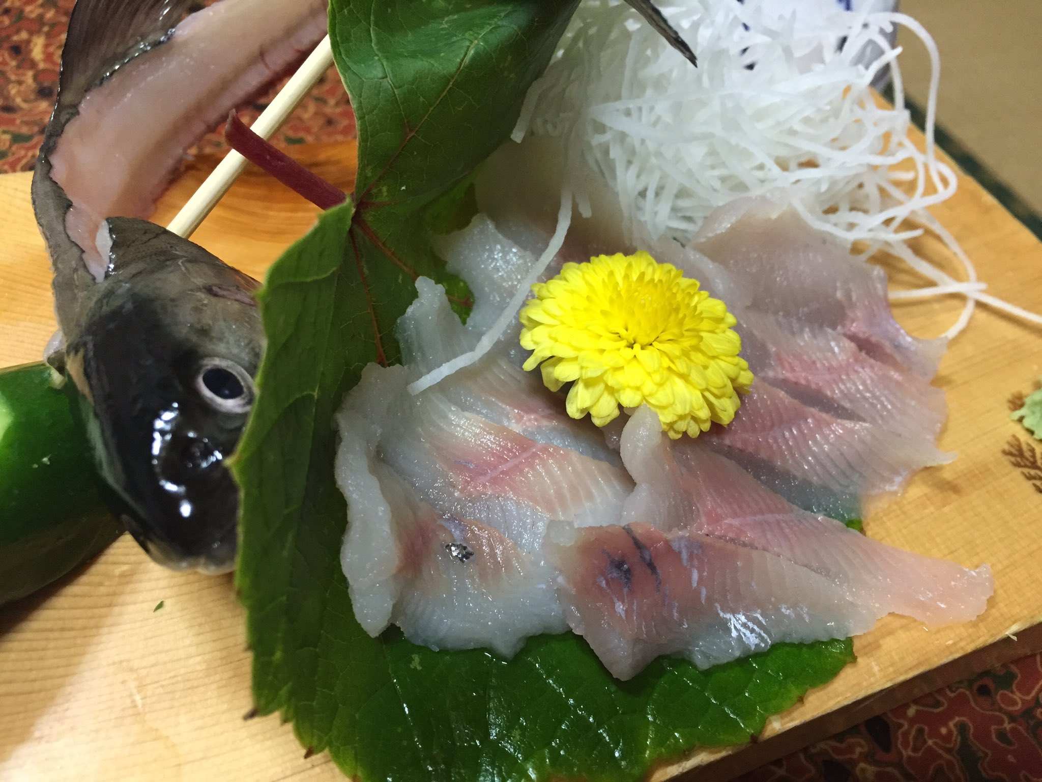 Ht ポケモンgo 珍しいイワナの刺身 鯛とヒラメを混ぜたような味でした そして富山の松川公園で乱獲した甲斐あって コイキングがギャラドスに進化できるまであと4匹 T Co 2kwabr8wpd Twitter