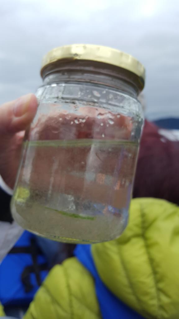 robmwssi's tweet photo. Flathead lake zooplankton.  #sustainabilityFTW https://t.co/VfqD7I6FNS