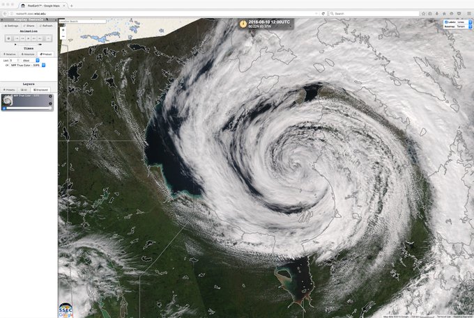 View image on Twitter