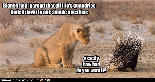wattsnexthr's tweet photo. How bad do you want it @Sel_Watts? 🦁 #happybirthday #twittertime #liontheme #leo https://t.co/4T2jQ5rJ51