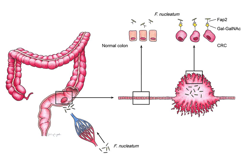 Harvard T.H. Chan School of Public Health tweet media