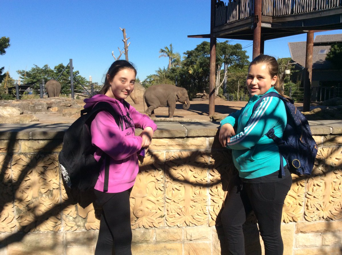 HorshamP's tweet photo. Admiring the Asian Elephants at Taronga Zoo https://t.co/EfTp37g1ry