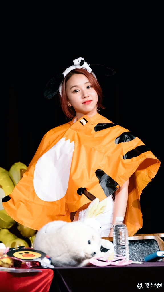 [트와이스] 아기맹수와 사랑에 빠진 토끼 | 인스티즈