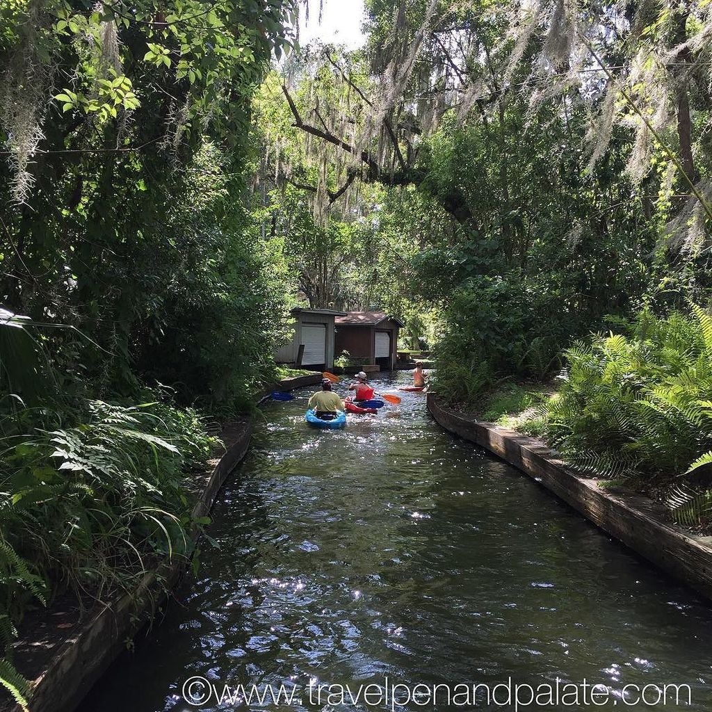 penandpalate's tweet photo. #kyaking on the lush #canals that link the 6 #lakes of Winter Park #Florida #boating #love… https://t.co/Gor28VEpum https://t.co/pT8UTJHAJ0