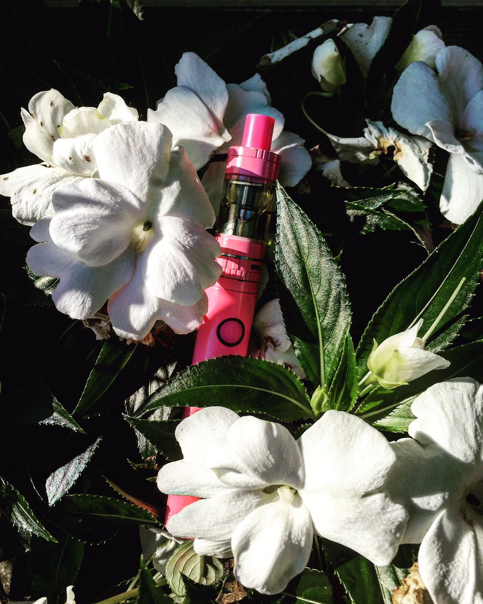 Shae_Pae_'s tweet photo. Still ogling over my new mod #vaping #vape #vapefam #vapenation #vapingsavedmylife #girlswhovape #vapelife #vapemail https://t.co/yPZEAJv9KH