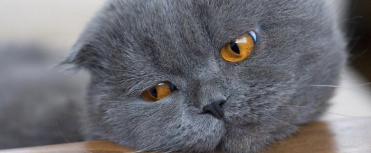 GlenGilmore's tweet image. #ContentMarketing for "Boring" Industries: 10 Tips for Creating Interesting Content 

bit.ly/2aLifCT #cmo