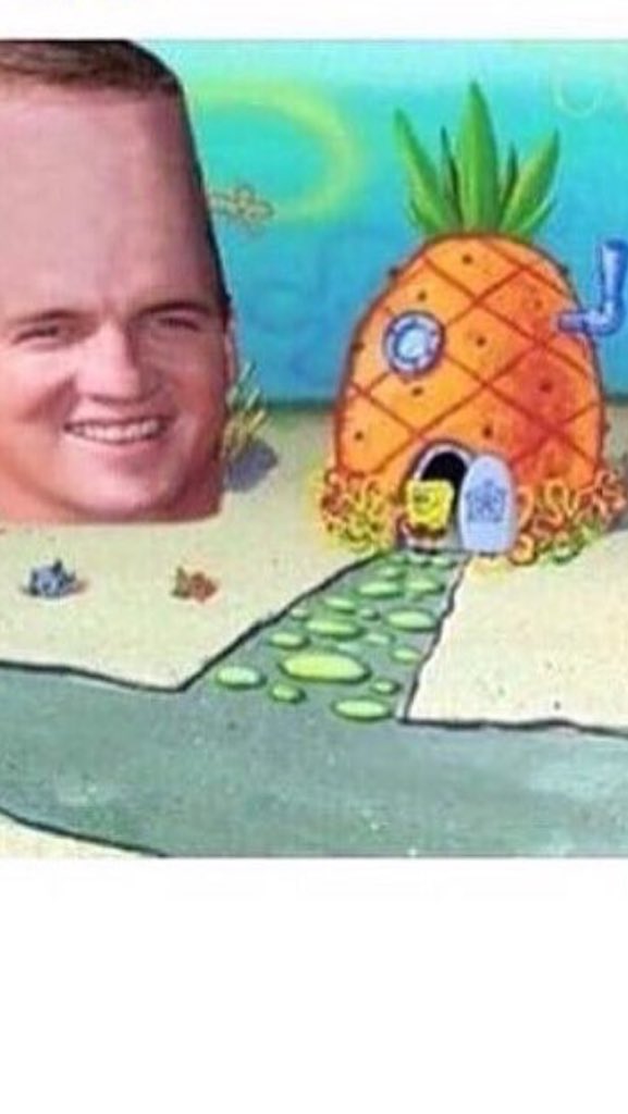 Marisa Riddle (@MarisaRiddle) | Twitter