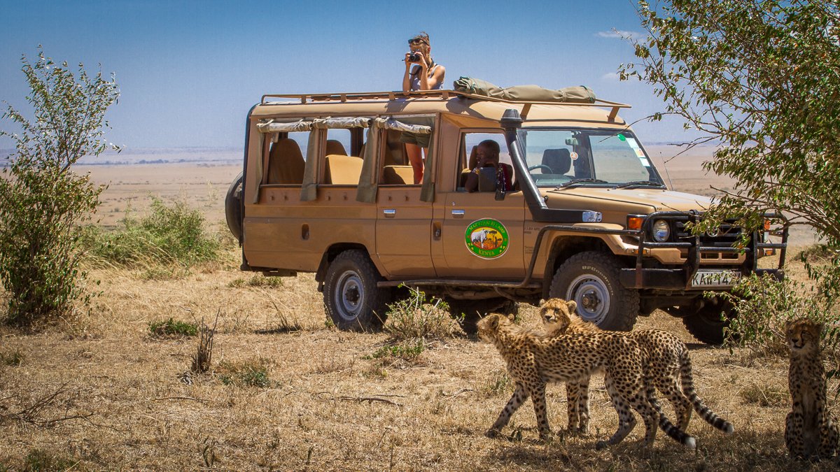 The Ark Kenya (@thearkkenya) on Twitter photo 