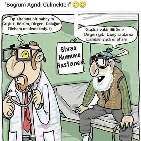 ayseunal2 tweet picture