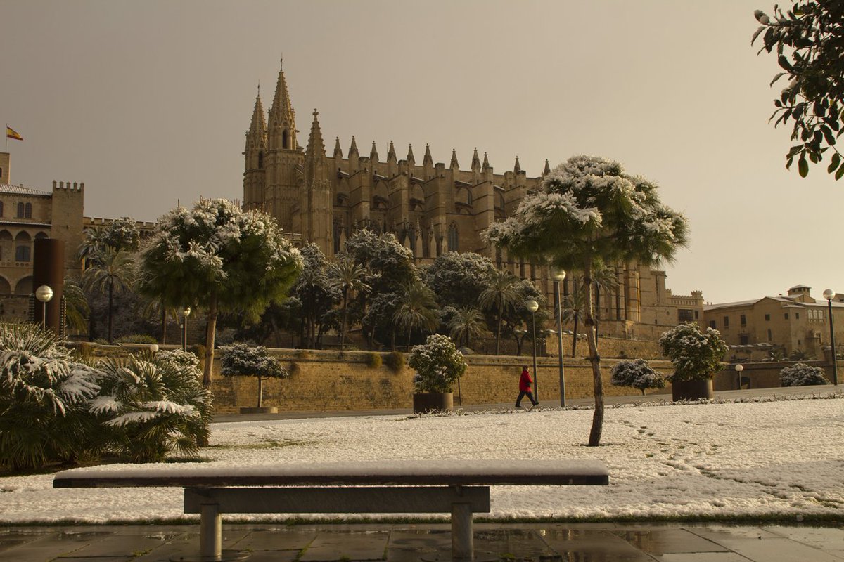 varader0palma's tweet photo. #TBT #snow in #PalmaDeMallorca febrero 2012-photo by Toni coll https://t.co/Wi0VqeA1GQ