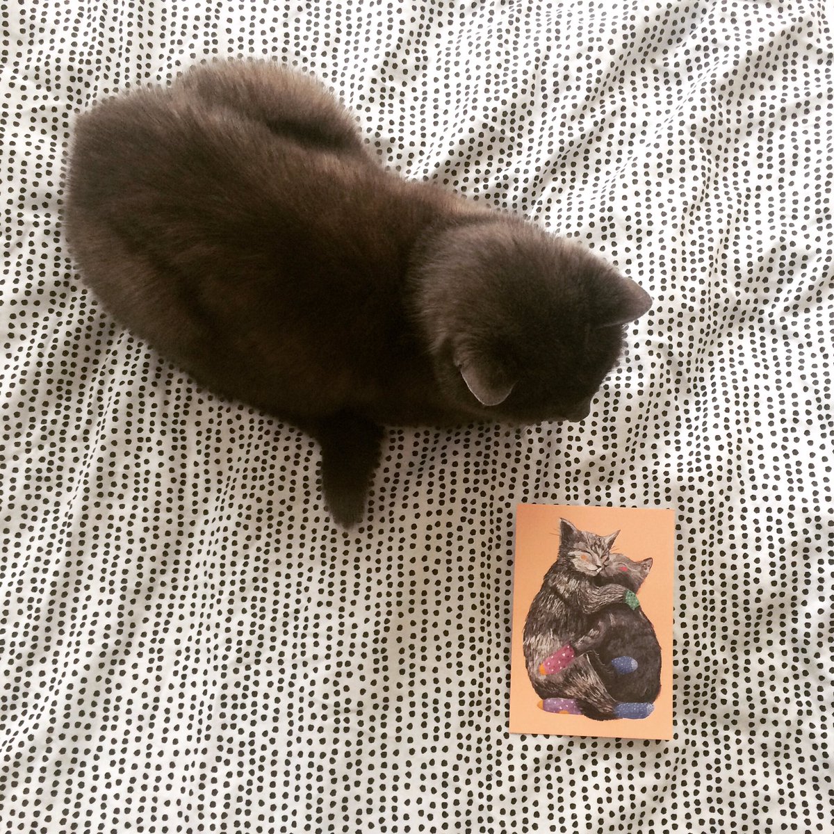 esthersepers's tweet photo. Leuk!Mijn kaarten en prints te koop bij vertelles in mechelen #retail #esthersepers #kaarten #post #illustratie #art https://t.co/1QIDFu5hE5
