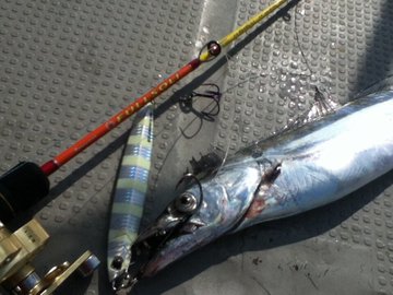 ジグパラバーチカルは４種類展開 なかでも気になるショートの使い方やインプレ 釣果をご紹介いたします