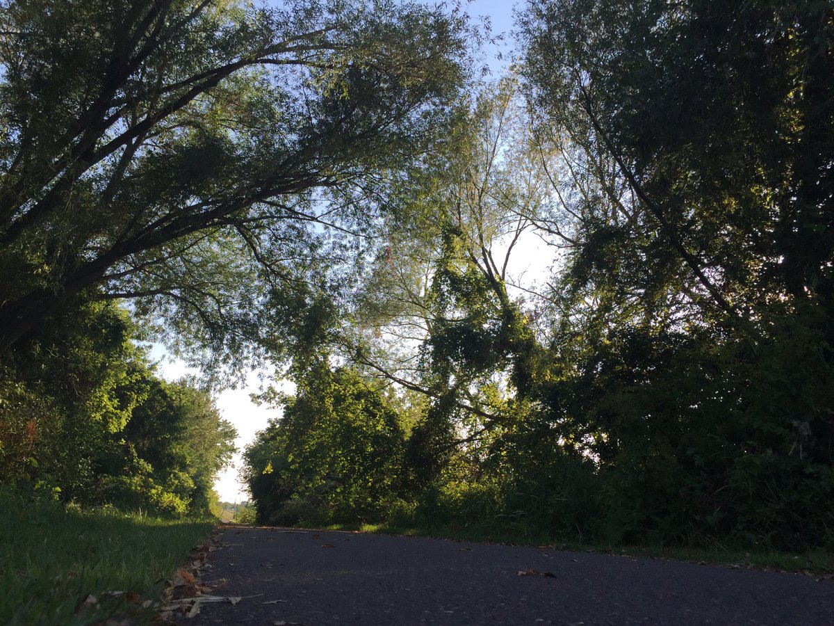 remarkieablewi's tweet photo. Lakefront path #ashland #ashland_wisconsin #wisconsin #nature #neature #lakefrontpath https://t.co/2qx2V2cBks