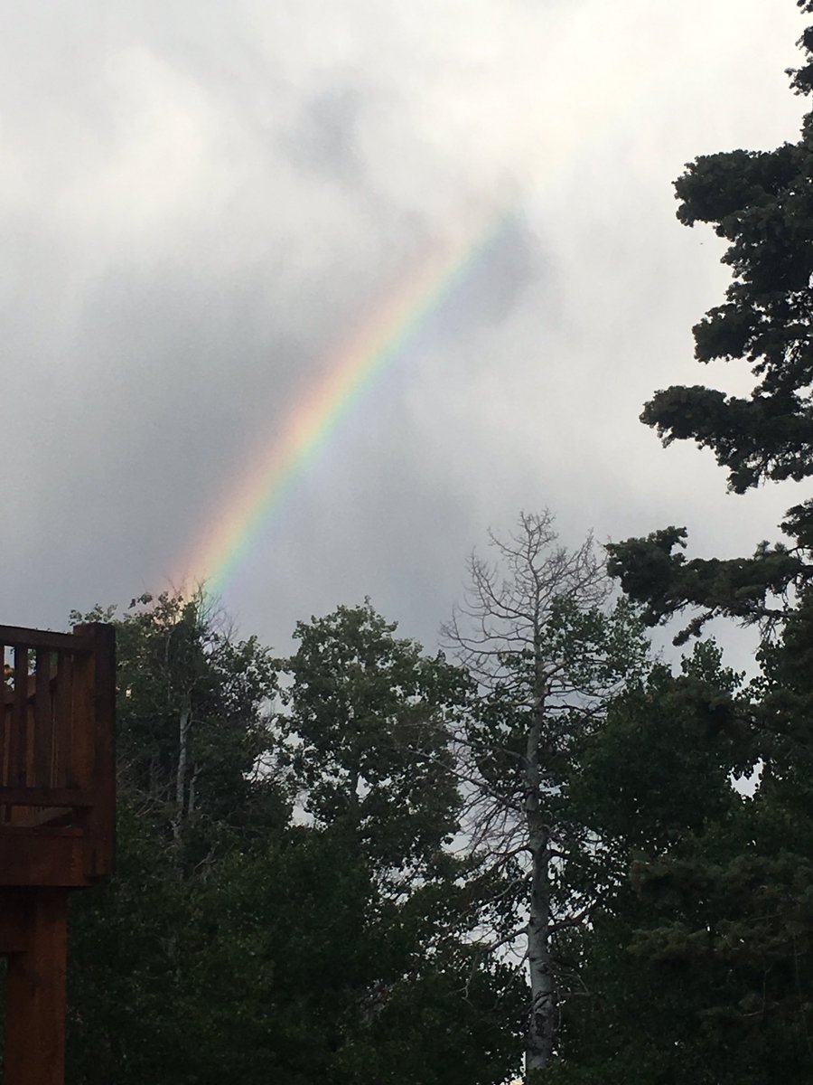 Namasteheart's tweet photo. Rainbow Beauty https://t.co/v2ApLlYpsu